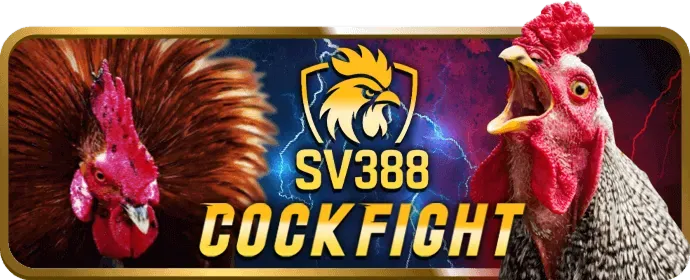 Máy Đánh Bạc do666